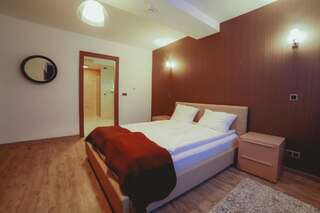 Апарт-отели Silver Mountain Resort & Spa Пояна-Брашов Улучшенный двухместный номер с 1 кроватью-2